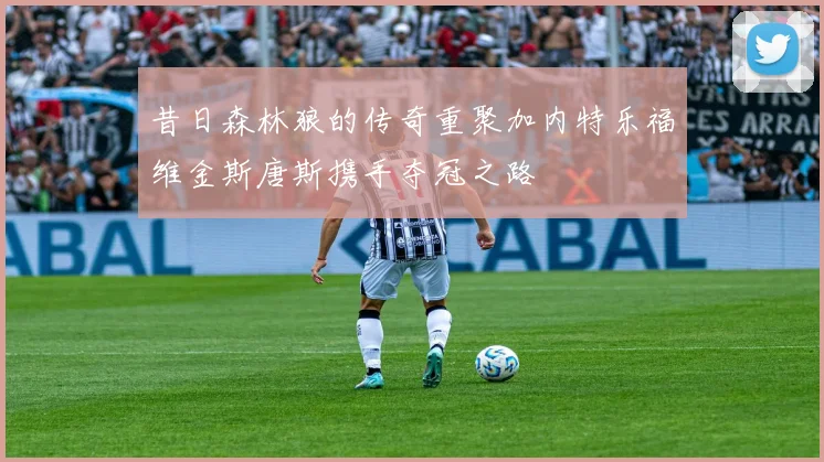 昔日森林狼的传奇重聚加内特乐福维金斯唐斯携手夺冠之路